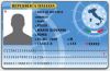 La carta d'identit elettronica